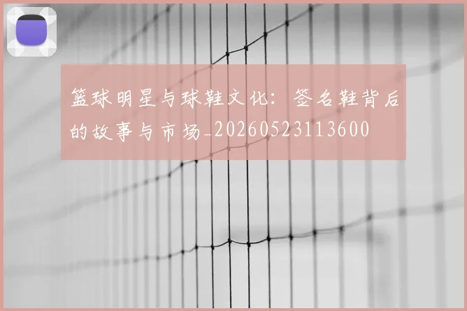 篮球明星与球鞋文化：签名鞋背后的故事与市场_20260523113600